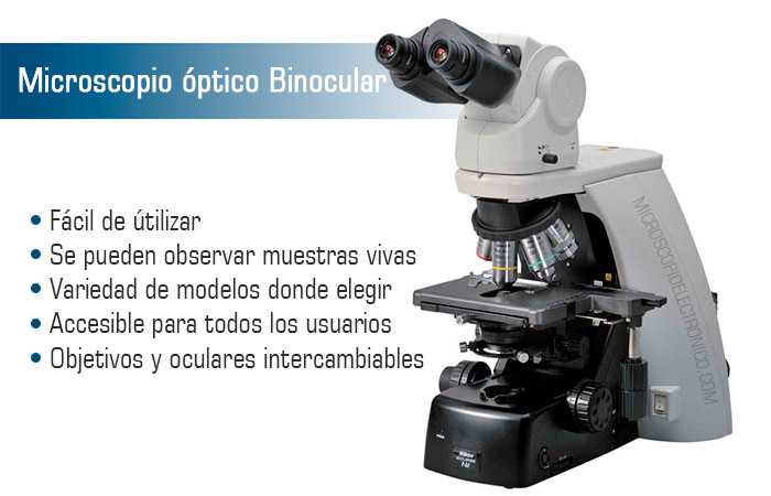 Microscopio óptico compuesto